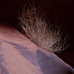 Rock Sand, Page AZ, USA